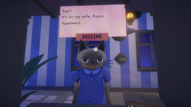 Everything You Need to Know About Cat Mail Co. Download Guide | racino, raja ngamen slot, download p