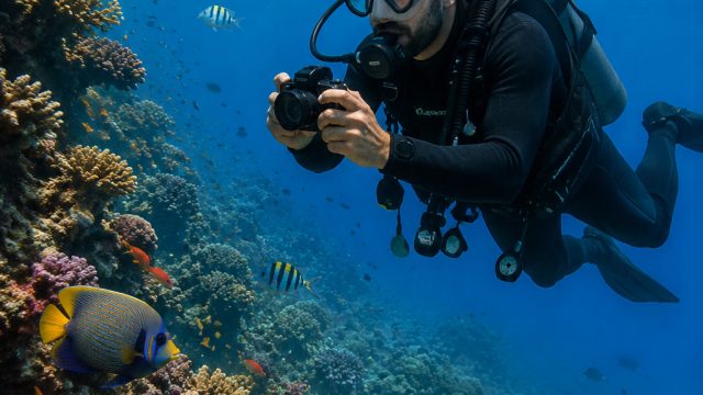 Dive into Adventure: Your Essential Guide to Downloading Dave the Diver | biggest online casino, fre